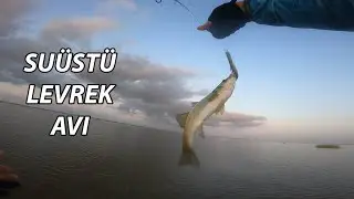 SUÜSTÜ LEVREK AVI... YARALI BALIK TAKLİDİ YAPIYOR, BALIĞA BEN BURADAYIM DİYOR