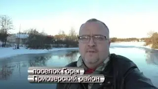 пос Горы Приозерский район разговор про загородную недвижимость | АЛЕКСАНДР Недвижимость