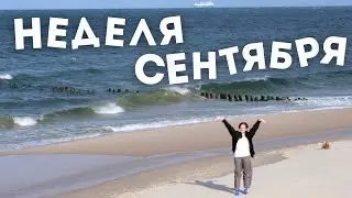 Первая неделя учебы и что у меня происходит