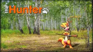 🔴TheHunter Classic | Охота с гладкоствольным ружьем.