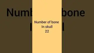 human body part 1