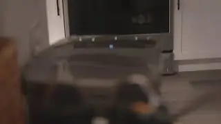 Test Stream - Using Seemo 4K Encoder