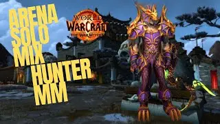 Arena 3x3 solomix  - Hunter MM PVP - WOW TWW 11.0.5