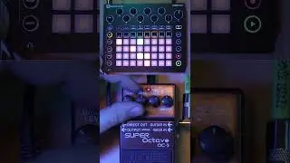 I put a beat through an octaver so you don't have to [Novation Circuit vs BOSS OC-3] #shorts