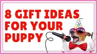Gift Ideas for DOGS & DOG LOVERS ❤ 🐕 2018 HD