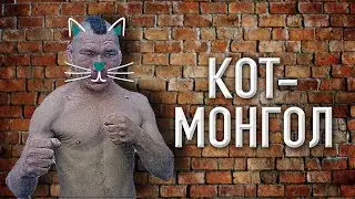 Сережа 01к и кот Монгол Instagram Stories