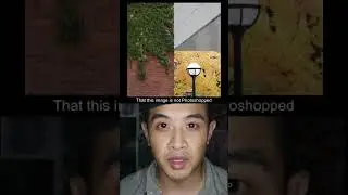 253. Brain Teaser- Not Photoshopped