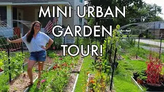 URBAN GARDEN TOUR IN LESS THAN 2 MINUTES! | Homestead Dreaming