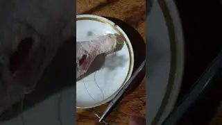 шов по Шутте