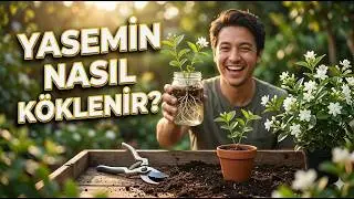 🌼 1 Stem = 10 Jasmines! The Most Effective Propagation Method