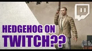 HEDGEHOG ON TWITCH!! - Join the Adventure - Hidden_hedgehog