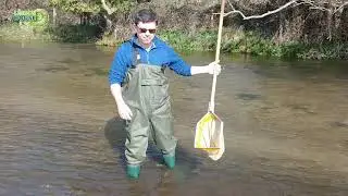 Biotic factors on the River Piddle
