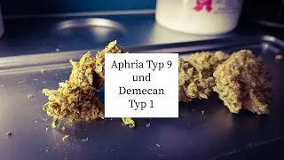 Nach der Sommerpause, weiter mit Aphria und Demecan