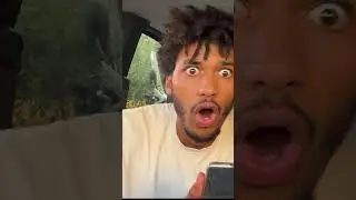 ninna e matti stanno rischiando