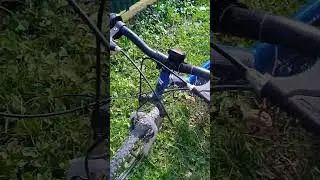 .....