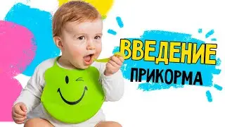Мама - солнце. Введение прикорма