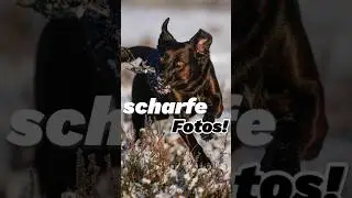 Tipps für Scharfe Fotos