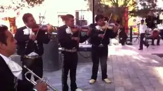 MARIACHI LOS GAVILANCILLOS INCONDICIONAL