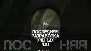Не Баг, а АНОМАЛИЯ?! Сталкер 