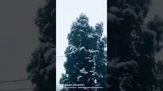 Хьалха-Марта