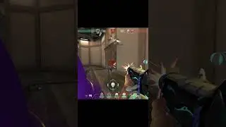Astra vs 4  Judge vs Vandal Best Play #shorts