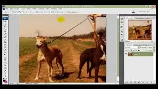 Removing Background Photoshop