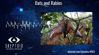 Bats and Rabies