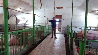Сарай для СВИНОМАТОК ...