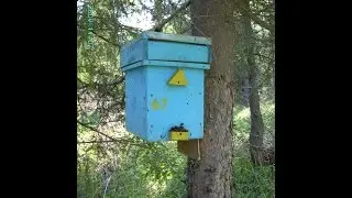 Формирование нуклеусов