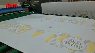 Acrylic sheet or glass sheet flat screen printing machine