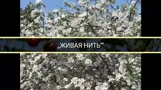 ,,Живая нить"Собанцева Валентина засл.арт.России