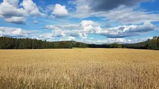 #VEDA Day 9 - Video Every Day in August - Trip to Dalarna - Final part
