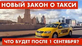 Новый закон о такси: что будет с таксопарками после 1 сентября?