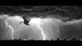I Fall Apart - Post Malone(LYRICS) | Batz