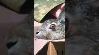 Всех на волю! В чистое поле!