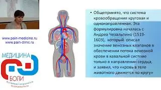 Цереброспинальная венозная система быстрый путь к лечению церебральных катастроф. Корнилова Л.Е.