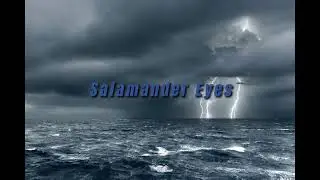 Salamander Eyes Extended but theres a thunderstorm outside | Fantastic Beasts