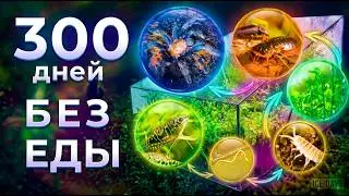 МЫ ЗАПЕЧАТАЛИ ОГРОМНЫЙ ТЕРРАРИУМ С ПАУКОМ И РЫБАМИ! МУРАВЬИ ОХОТЯТСЯ НА УЛИТОК!