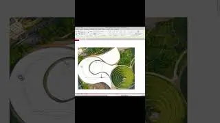 Split Spline Short