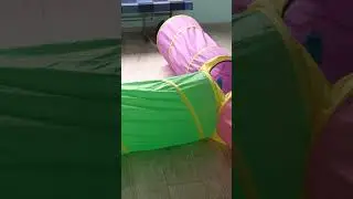Кошка Цветочек охотится