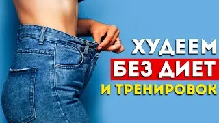 Top 5 Ways to Lose Weight Without Fasting or Exercising (Proven to Work)