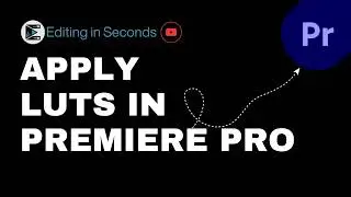 Want to Apply LUTs in Premiere Pro? Step by Step Guide