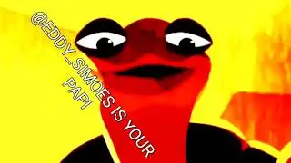 Macaco vai cair