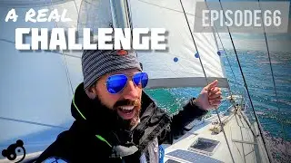 A Real French Sailing EXPERIENCE [Panda Journey #66]