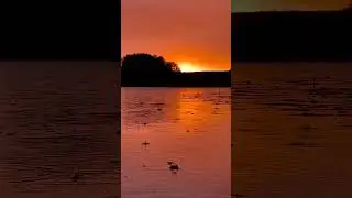 Вы точно такое не видели!