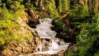 Relaxing River Sounds - Peaceful Forest River -with Nature Video Waterfall HD