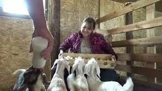 Жизнь в деревне. Еще пополнение в козовнике. ВЛОГ 15