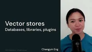 LLM Module 2 - Embeddings, Vector Databases, and Search | 2.5 Vector Stores