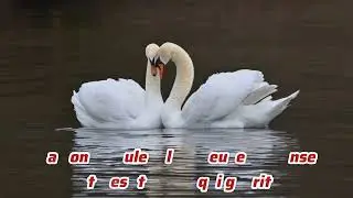 Lyrics - Nul n'est comme toi