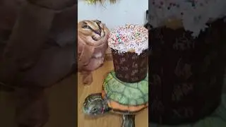скоро пасха 5 мая🥳😌 